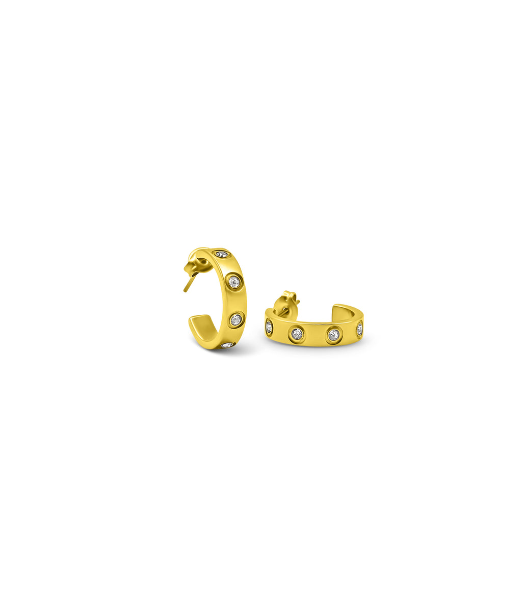 Hoop Earrings
